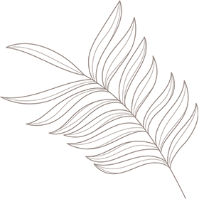 Demo spa salon bg img 05